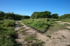 B&aacute;rcenas, Mina