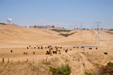 Arreola, M&oacute;nica