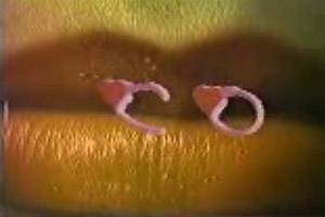 Mi Co-Ra-Z&oacute;n (1986)